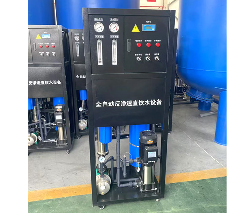 Reverse osmosis water purification equipment that produces 250 liters of pure water per hour